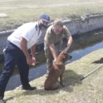 SPCA Cadet Inspector overwhelmed by public response to rescue video