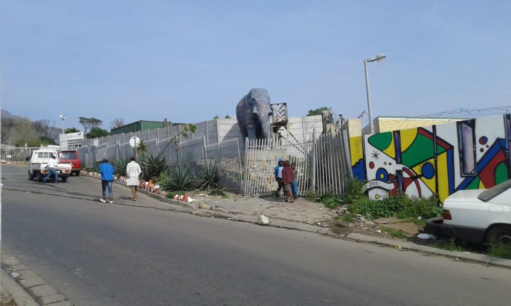 Hout Bay police say dug-up body may be missing boy