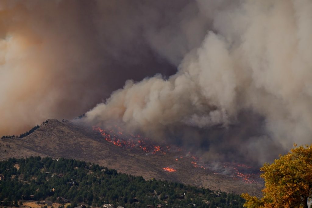 This year will be one of the hottest on record, confirms UN