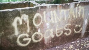 SANParks condemns graffiti in Table Mountain National Park