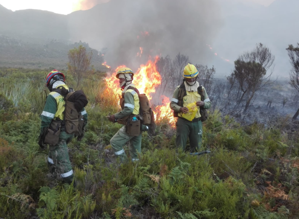 Firefighters battle Grabouw blaze