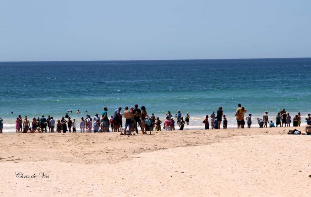 PICTURES: Second beach protest gathers steam