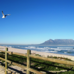 Cape Town residents forced to keep windows closed because of strong stench