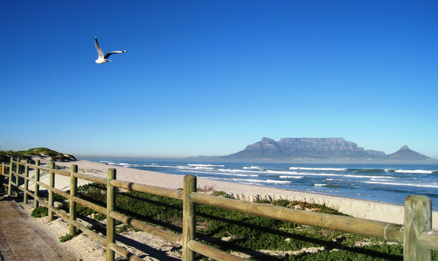 Cape Town residents forced to keep windows closed because of strong stench