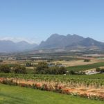 Red Alert Level 10 fire warning issued for Cape Winelands