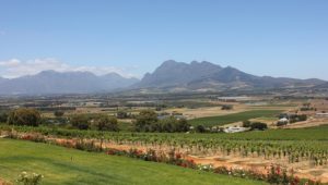Red Alert Level 10 fire warning issued for Cape Winelands