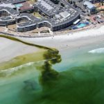 Milnerton Lagoon subject to periodic E. coli contamination, study finds