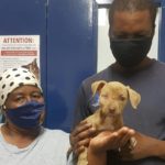 Mauled puppy gets second chance at life