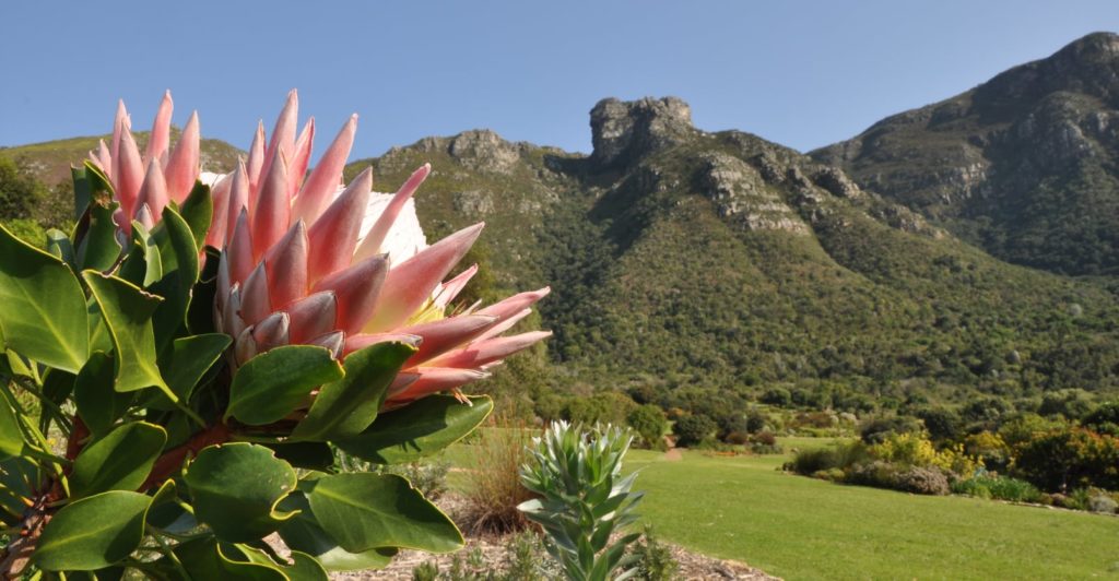 Kirstenbosch to introduce dual pricing from April