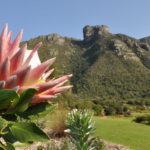 Kirstenbosch to introduce dual pricing from April