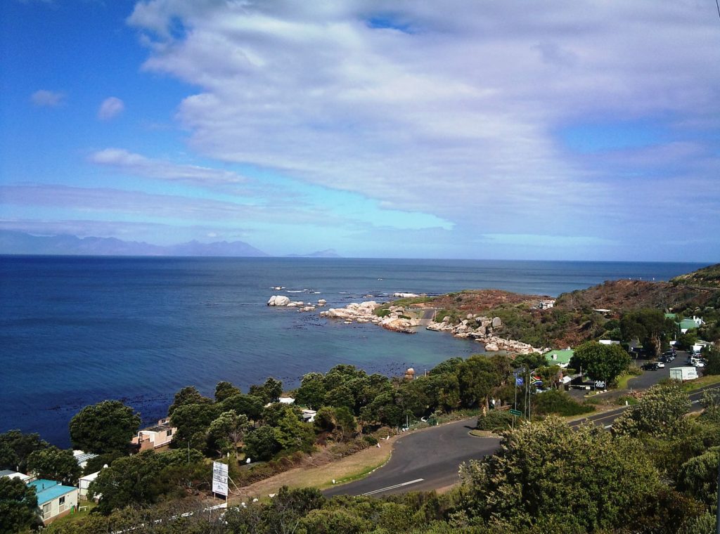 No-waste bin zone trialed at Miller's Point in Simon's Town