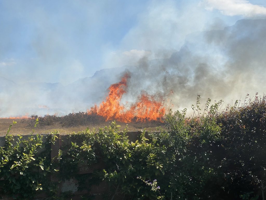 Fire breaks out at Rondebosch Common