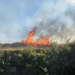 Fire breaks out at Rondebosch Common