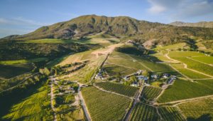 WIN: Four fabulous Wellington Wine Route experiences