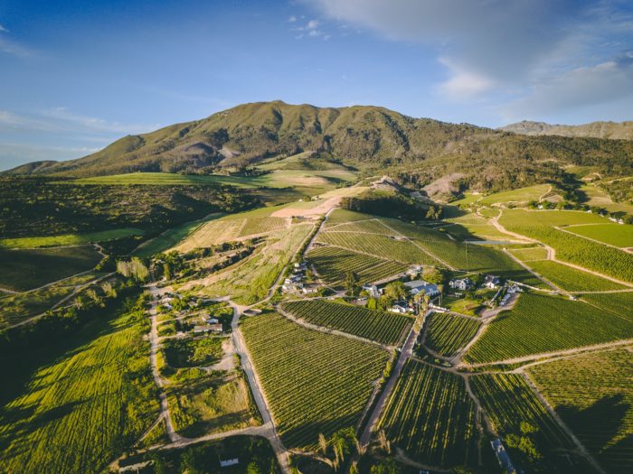 WIN: Four fabulous Wellington Wine Route experiences