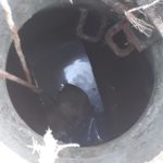 SPCA cadet inspector rescues boerboel from 3m deep manhole