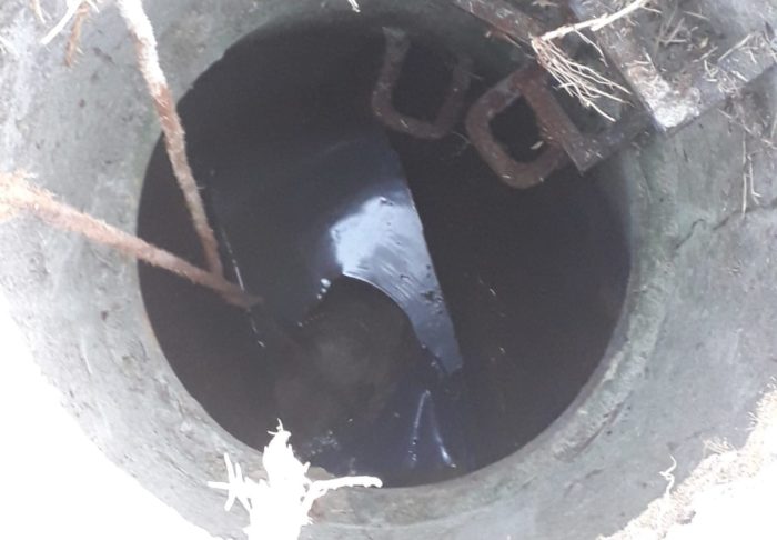 SPCA cadet inspector rescues boerboel from 3m deep manhole