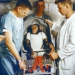 Apes, robots and men: The life and death of the first space chimp