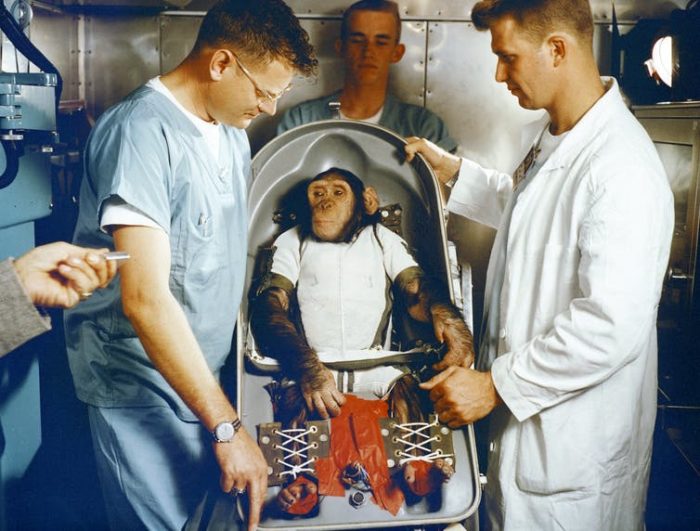 Apes, robots and men: The life and death of the first space chimp