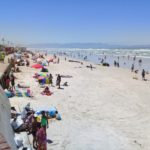 Muizenberg buzzing after Covid-19 beach ban lifted