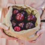 Pick and choose at Boschendal's Plum HarvestingPick and choose at Boschendal's Plum Harvesting