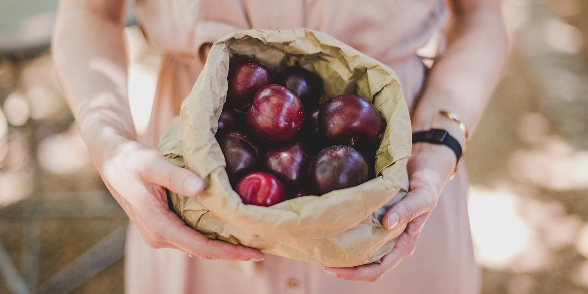 Pick and choose at Boschendal's Plum HarvestingPick and choose at Boschendal's Plum Harvesting