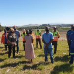 Alien vegetation cleared in Durbanville to allow for endangered Cape Fynbos to flourish