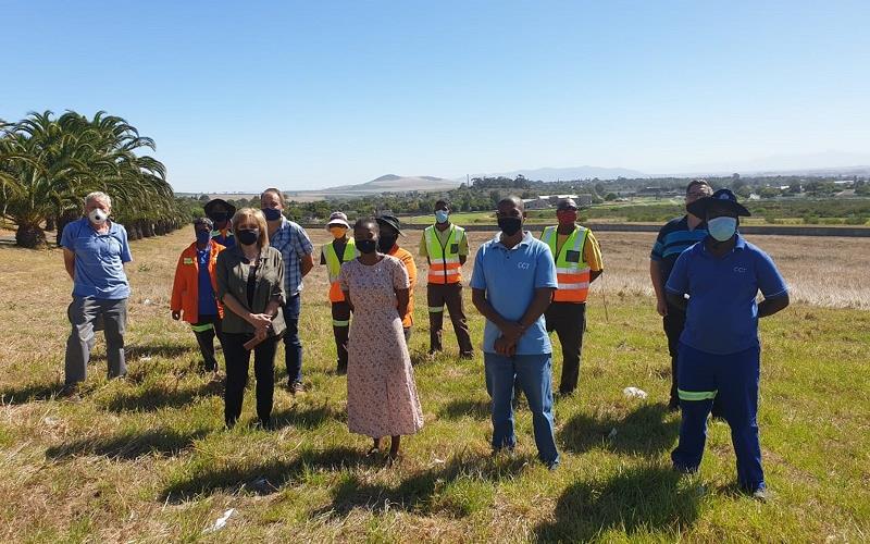 Alien vegetation cleared in Durbanville to allow for endangered Cape Fynbos to flourish