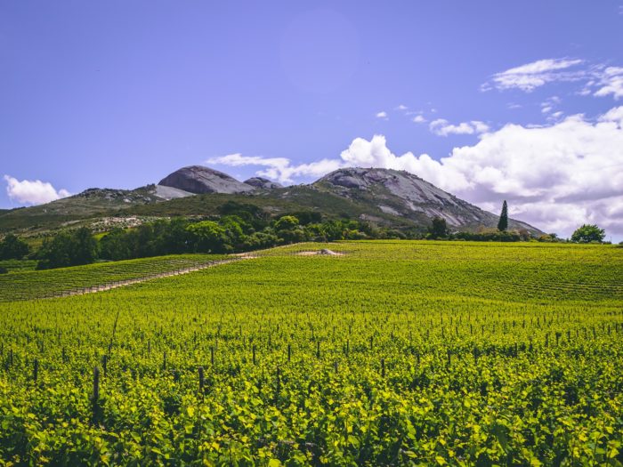 WIN: A Paarl Wine Route 'Wine Passport for Two' worth R3000