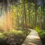 Start your day off with a stroll along one of these pristine pathways