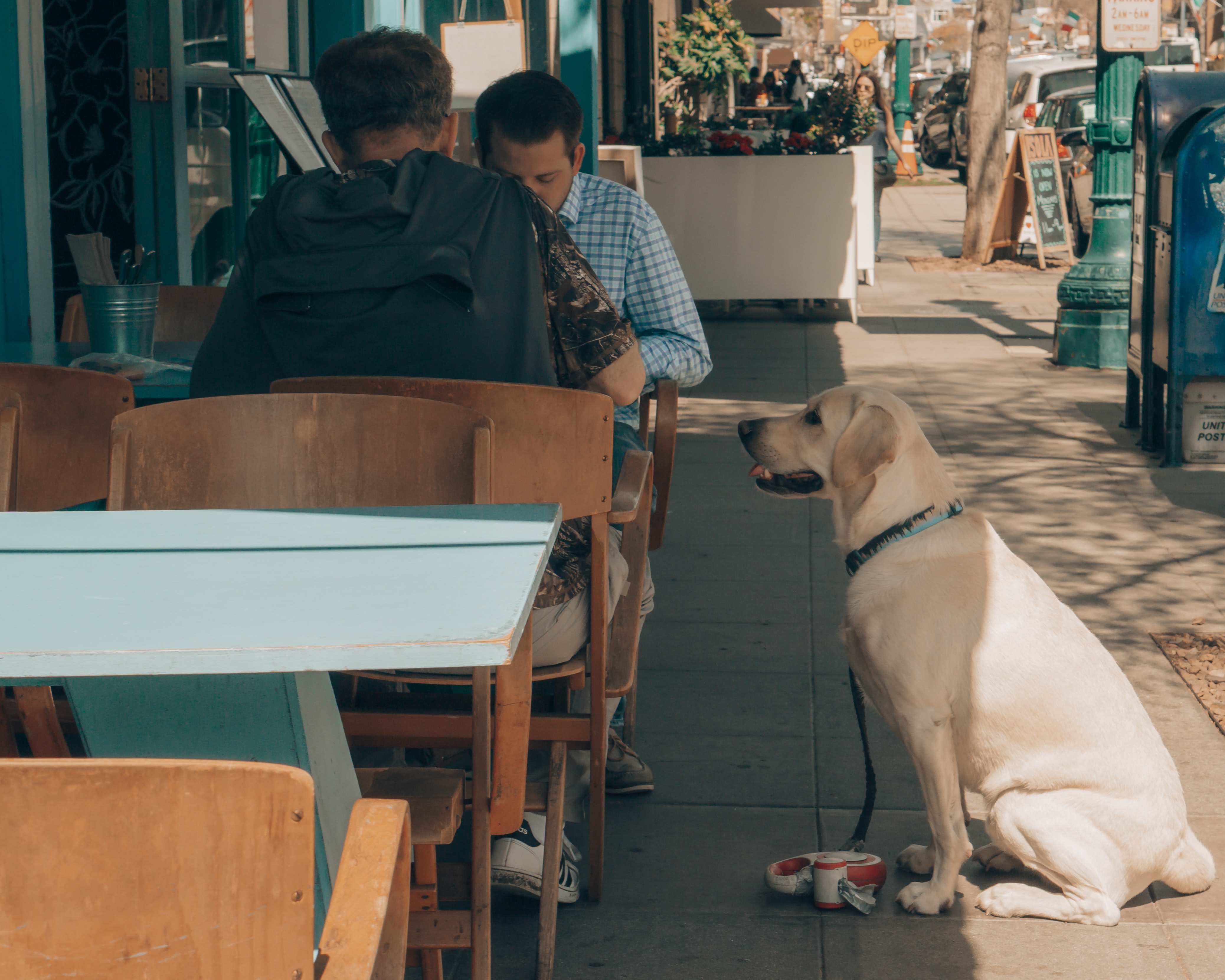 10 pet-friendly restaurants - pawfect!