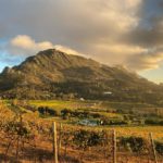 Egg-ceptional Easter Weekend fun at Constantia Glen