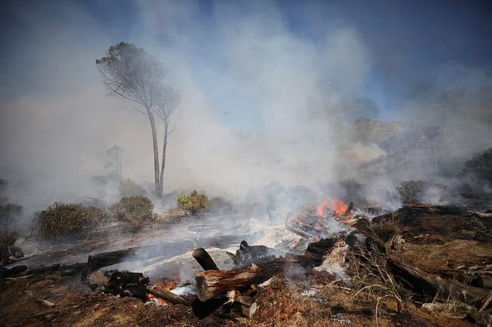 Table Mountain fires