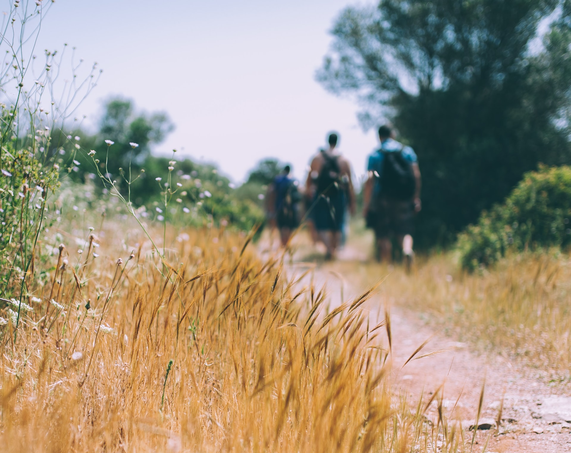 Woodstock local empowering children with hiking