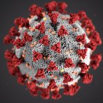 Brazil P1 coronavirus variant