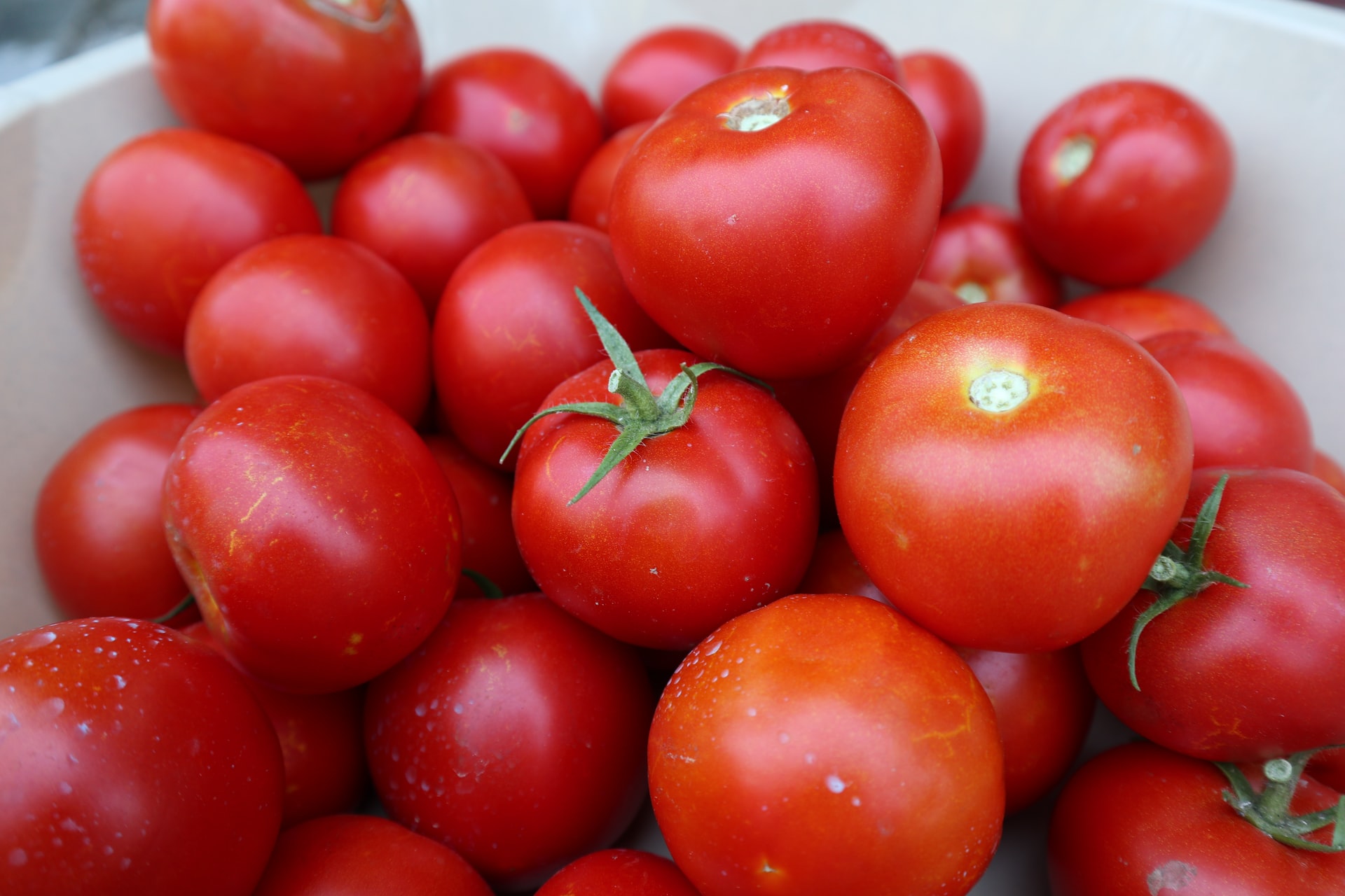 I feel it from my fingers tomatoes - here's what this fruit can do