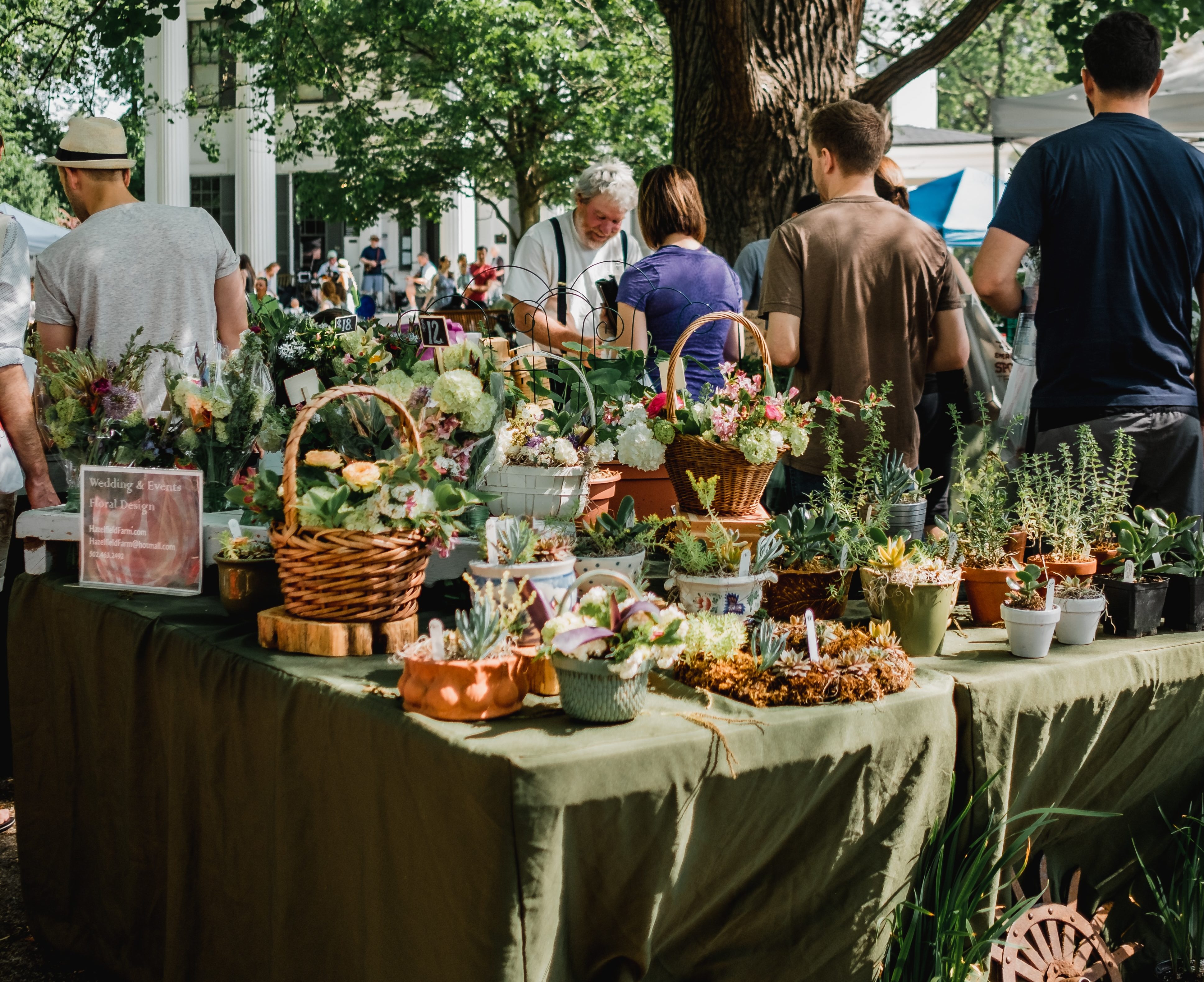 farmers markets around Cape Town