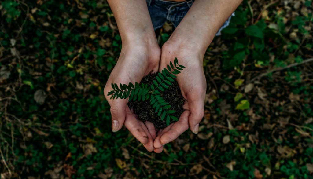 The significance of Earth Day