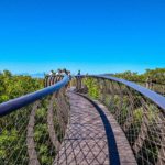 Kirstenbosch Botanical Garden