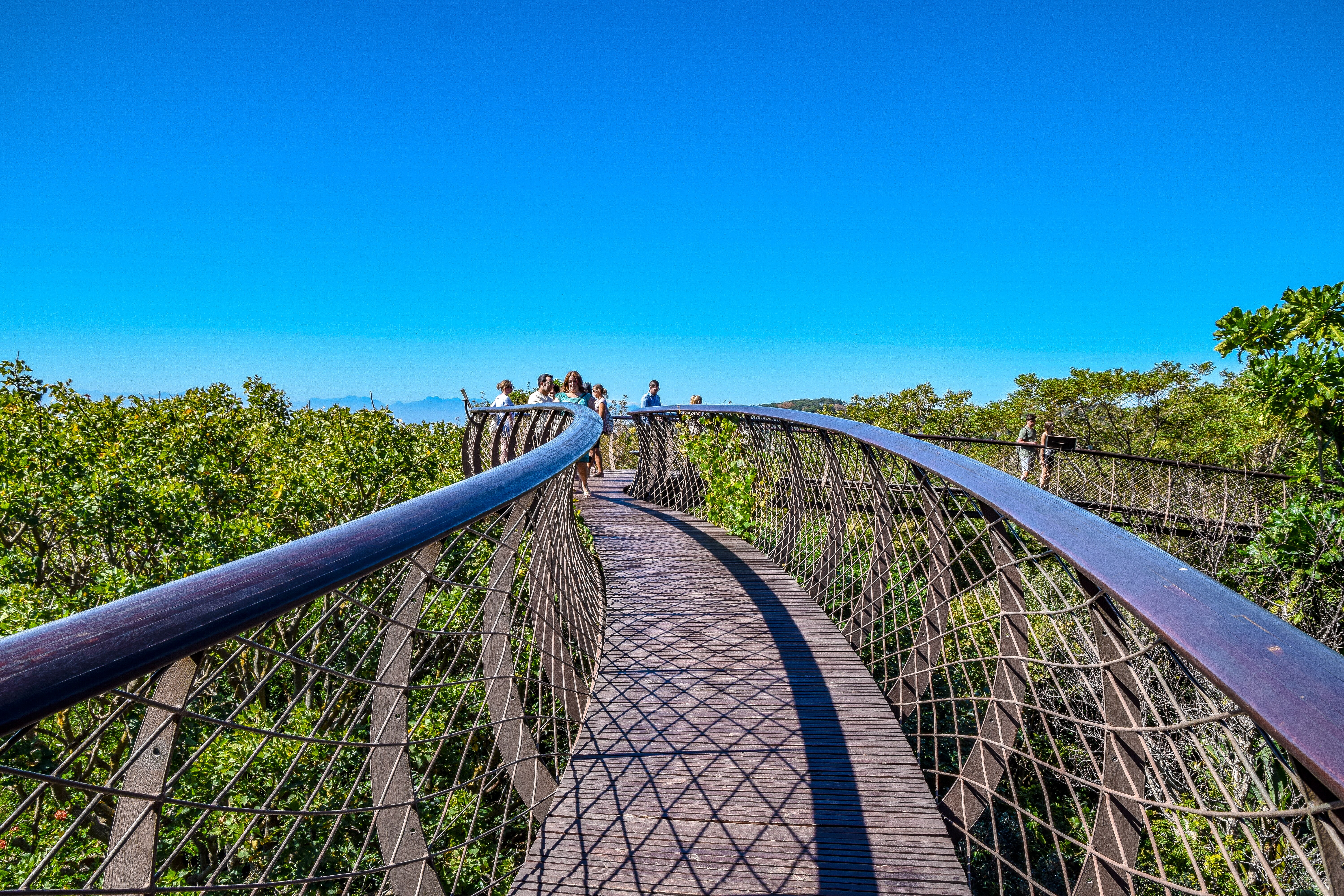 Kirstenbosch Botanical Garden