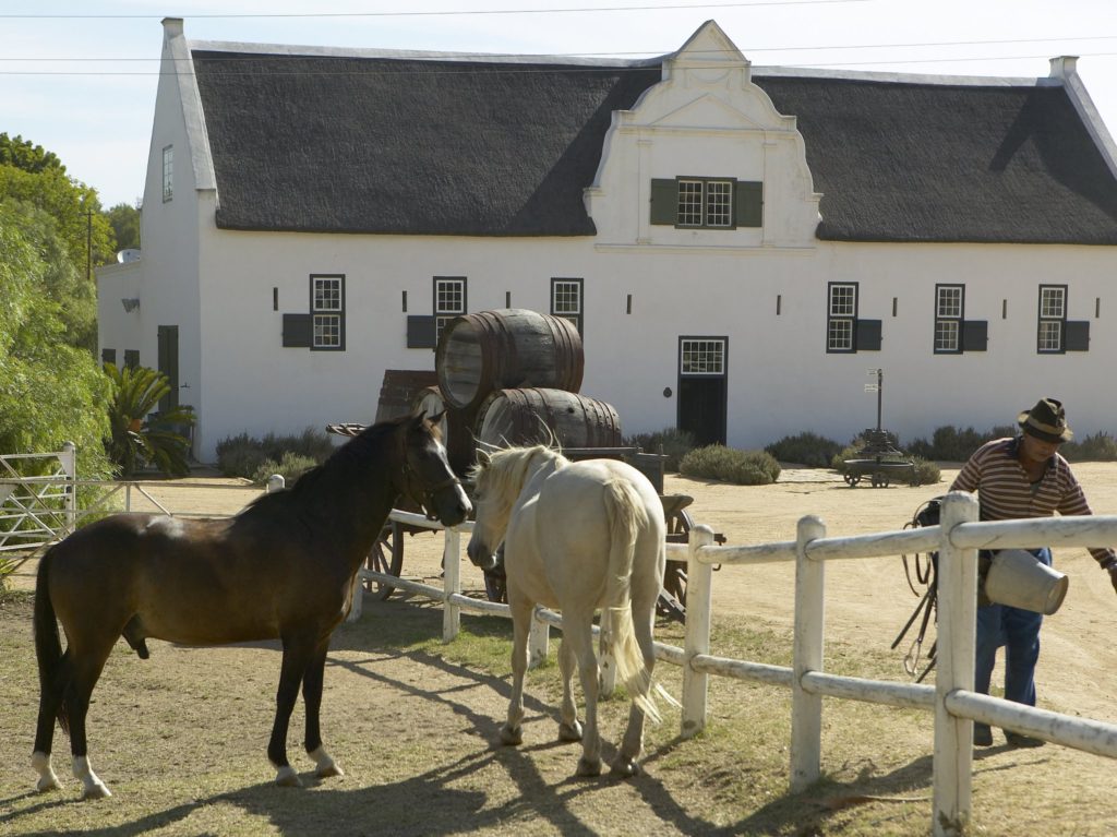 From grape vines to yummy food, Groote Post never disappoints