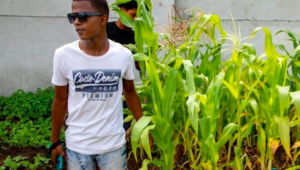 Elsies River youth exchange drugs and crime for vegetable farming