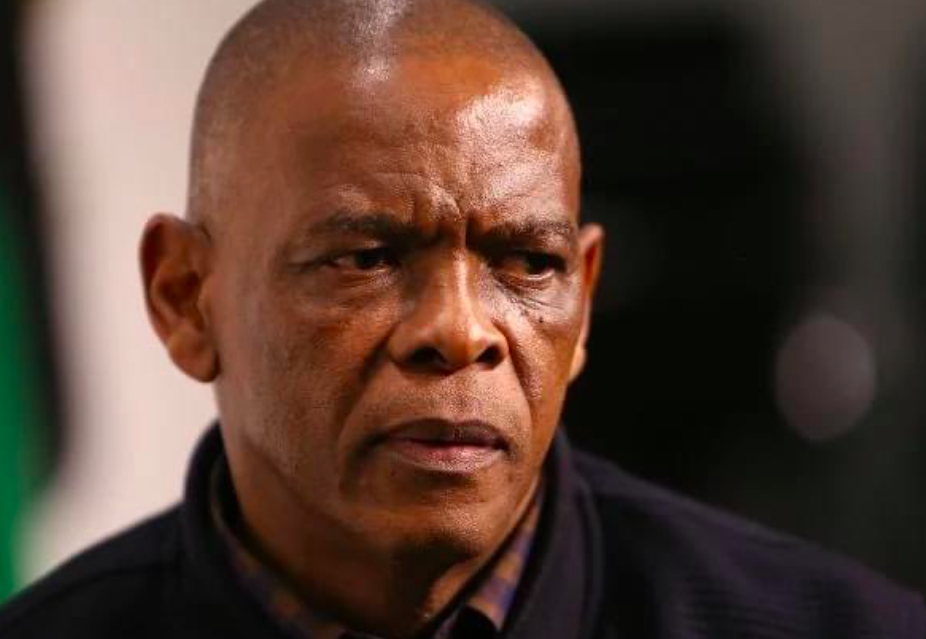 Magashule fears intra-party violence, calls for court bid to be heard urgently