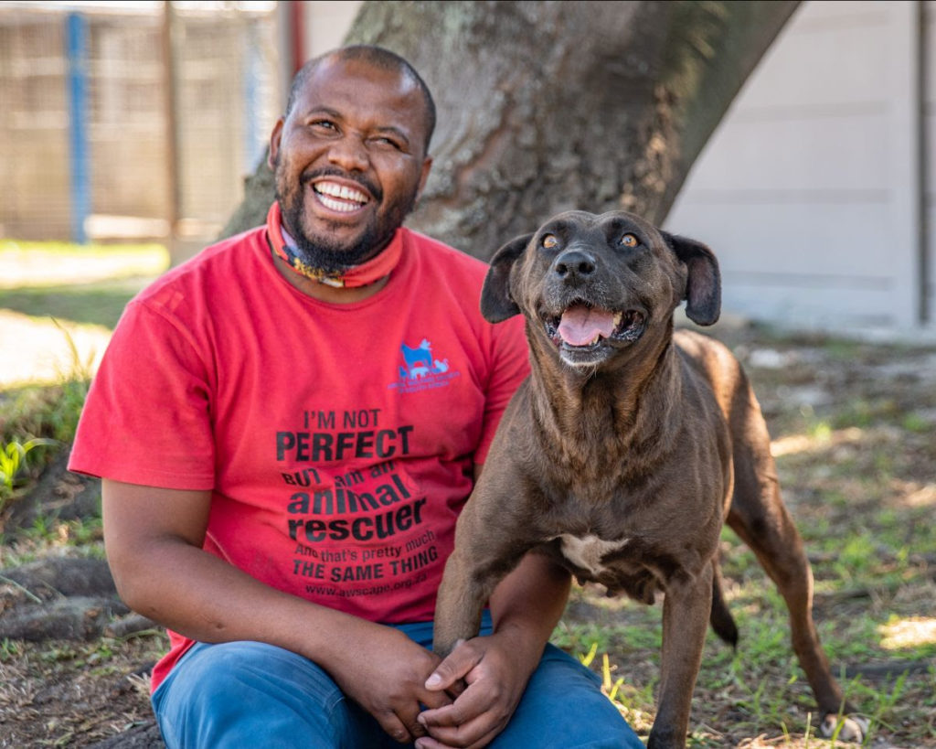 The Animal Welfare Society of SA - Our local pet heroes