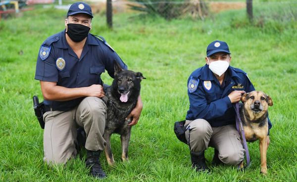 Two of Cape Town's K9 officers retires