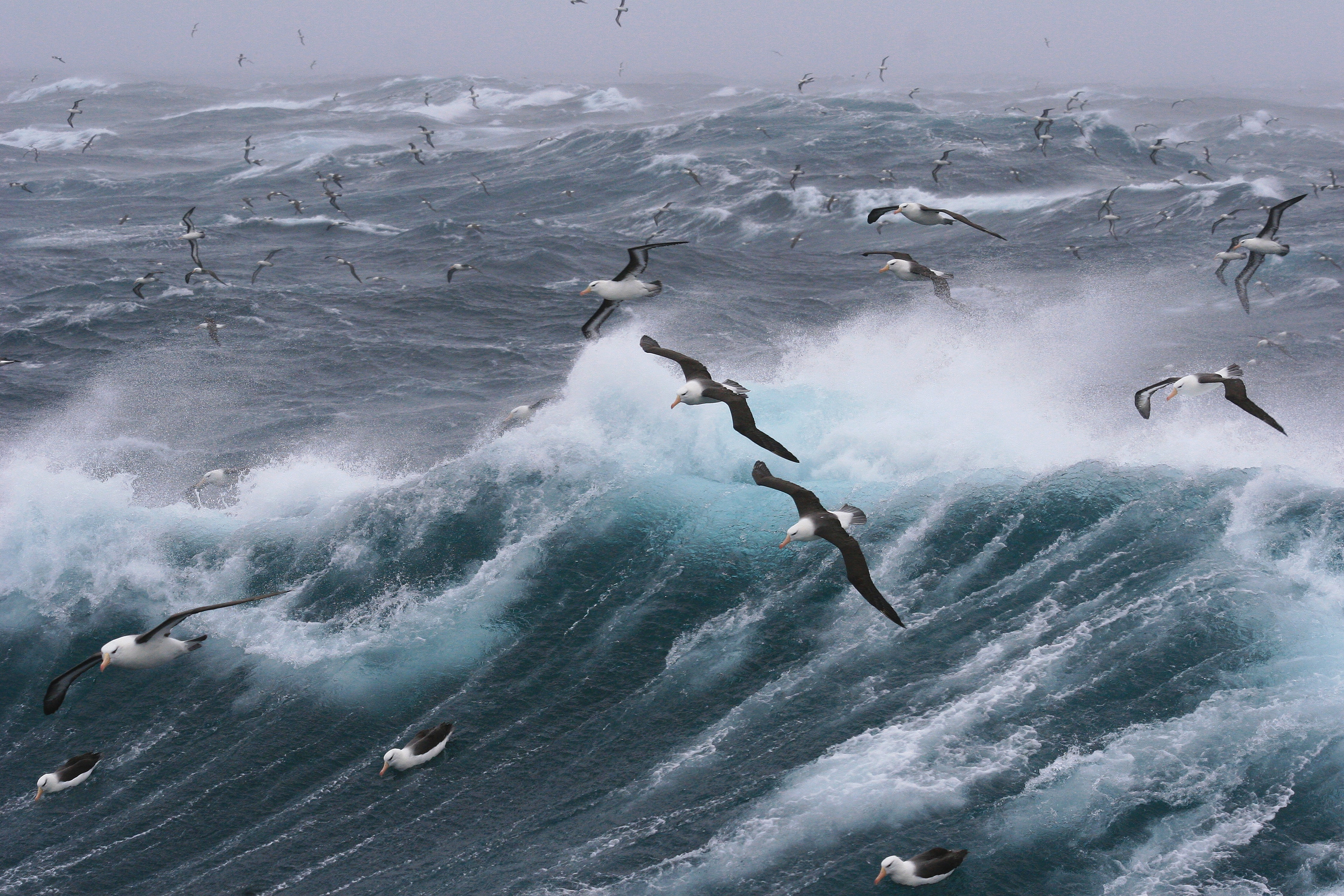 Unsplash: Weather warning Western Cape