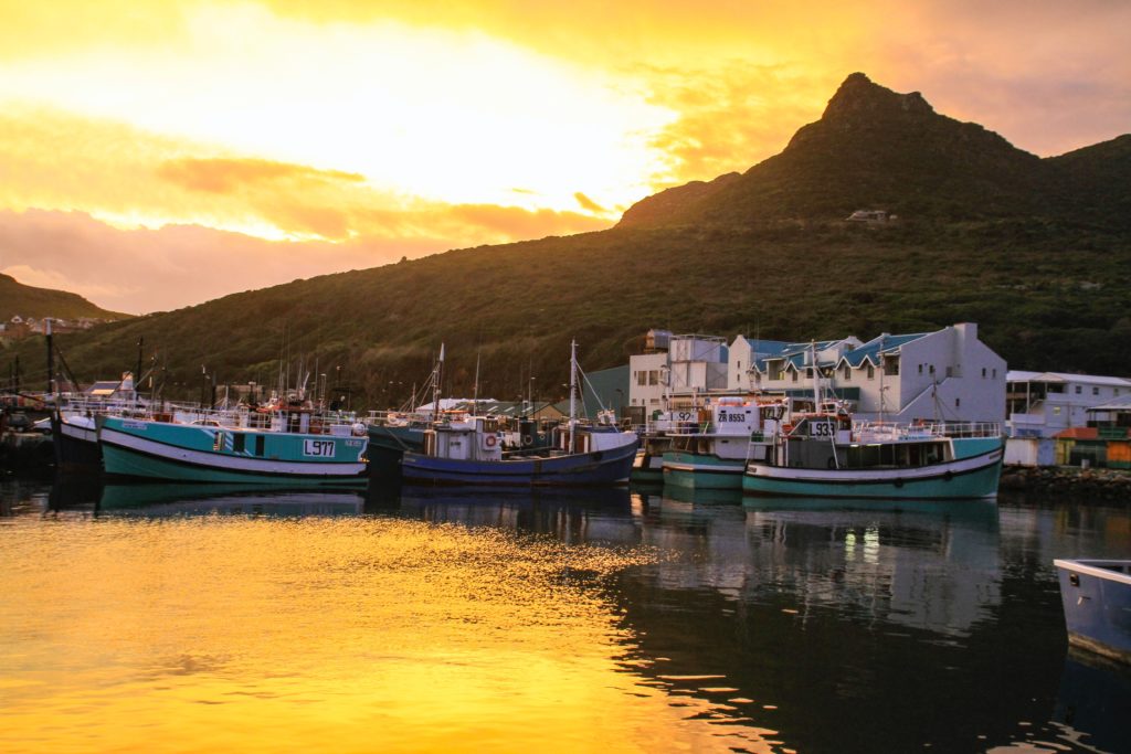 Cruises and boat adventures around Cape Town