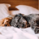 The benefits of good sleep