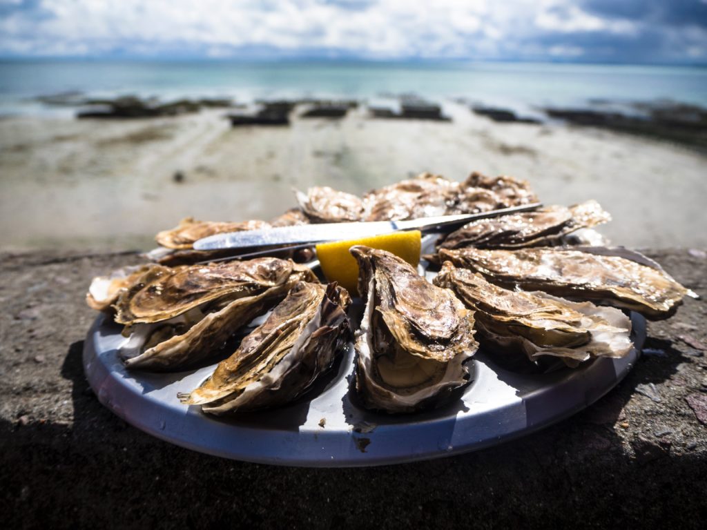 Knysna Oyster Festival now a "Limited Edition"