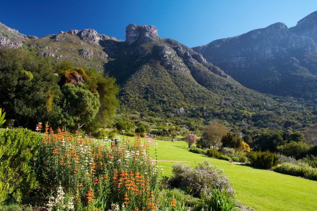 Adventure with the extended Kirstenbosch Winter Wonders Special